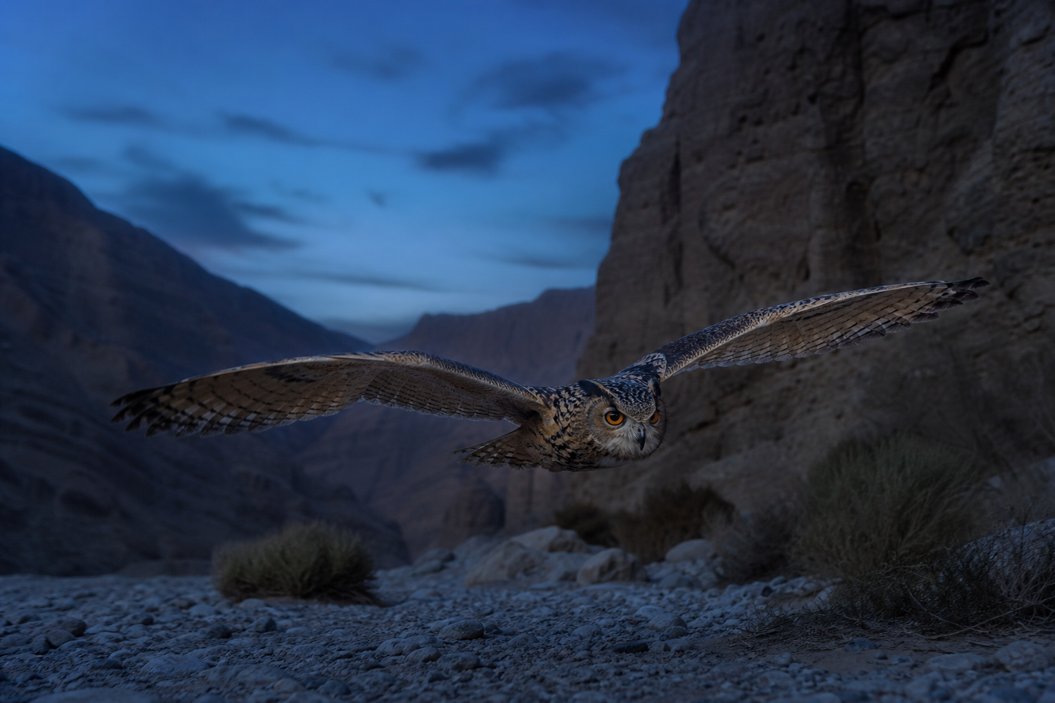 Pharaoh Eagle-Owl - Conservation Photography